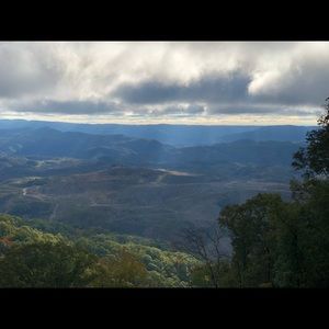 Meet your Posher, Cece